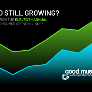 11th Annual Conscious Consumer Spending Index