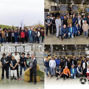 Collage of four photos of different groups of co-workers.