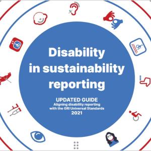 DHUB-GRI disability reporting guide