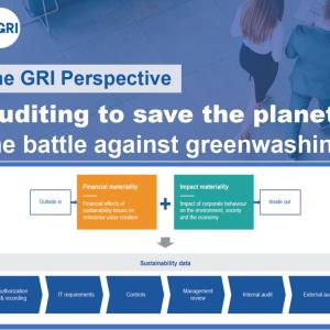  Infographic " Auditing to save the planet: the battle against greenwashing"