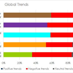 Global sustainability developments