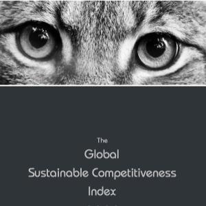 Sustainable Competitiveness Report 2022