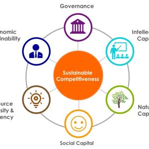 The Sustainable Competitiveness model