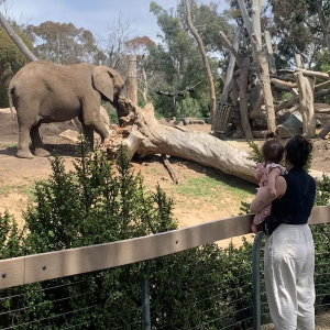 Gabi and her daughter at the zoo viewing an elephant.