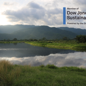 "Member of Dow Jones Sustainability Indices Powered by the S&P Global CSA" text on a backdrop of mountains and lake