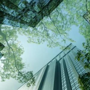 Tall glass multi storey building reflecting trees