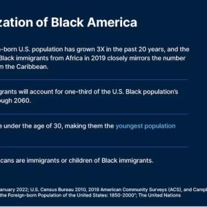 The globalization of Black America 3x The African-born U.S. population has grown 3X in the past 20 years, and the number of Black immigrants from Africa in 2019 closely mirrors the number coming from the Caribbean. 1/3 Black immigrants will account for one-third of the U.S. Black population's growth through 2060. 7/10 Africans are under the age of 30, making them the youngest population on earth. 1/5 Roughly Black Americans are immigrants or children of Black immigrants.  