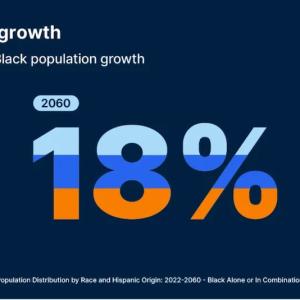 Population growth Projected U.S. Black population growth 2022 15% 2060 18%.