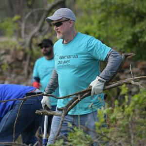 A volunteer carrying twigs 