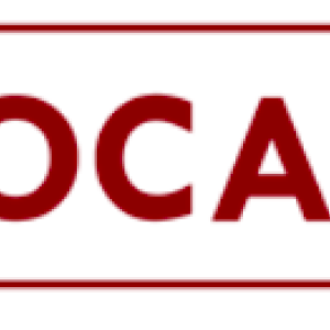 Glocalities Logo