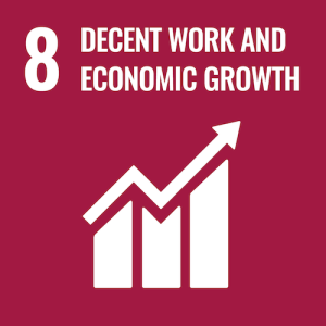 SDG 8: Decent Work and Economic Growth.