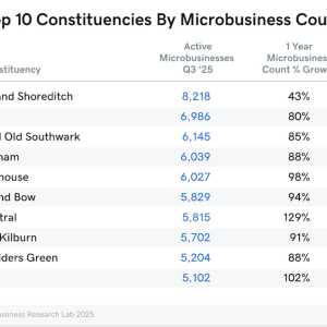 Chart showing top 10 constituencies by microbusiness count.