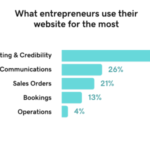 What entrepreneurs use their website for the most.