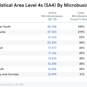 Chart showing Top 10 Statistical Area microbusinesses