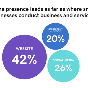 Chart showing online presence for small businesses.