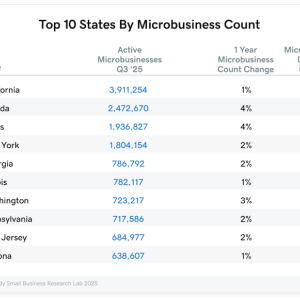 Chart showing top 10 states by microbusiness count.
