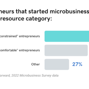 Entrepreneurs that started microbusinesses since 2020.