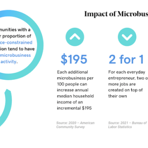 Impact of microbusinesses chart.