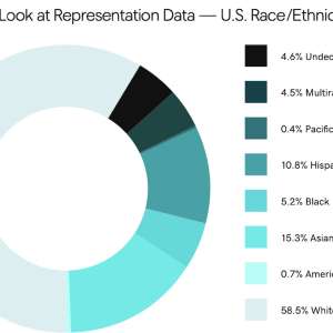 A closer look at representation data graph.