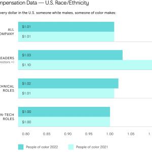 Compensation Data - US Race Ethnicity Graph