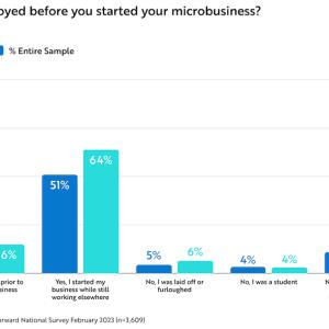 GoDaddy Microbusiness chart for single moms.