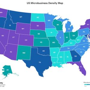 U.S. Microdensity map