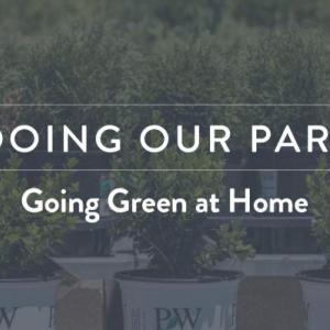 Image of plants in pots, reads Doing Our Part, Going Green at Home