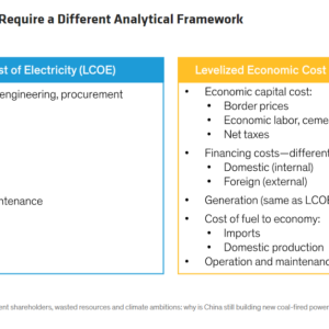 info graphic "Government Objectives Require a Different Analytical Framework" comparing LCOE and LECOE