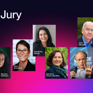 Grand Jury members of the CSO Awards /25