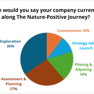 Pie chart showing responses to the question "Where would you say your company currently is along The Nature-Positive Journey?"