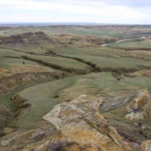 grasslands in Montana