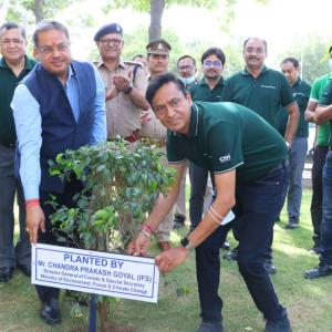 Group of people celebrate the planting of trees