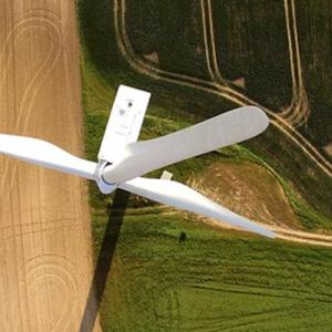 Green Bond-anza article photo