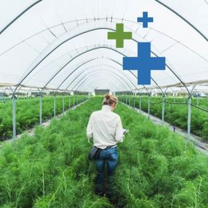 greenhouse