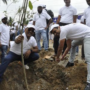 group of people planting