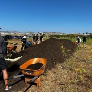 people working together outside with wheelbarrows