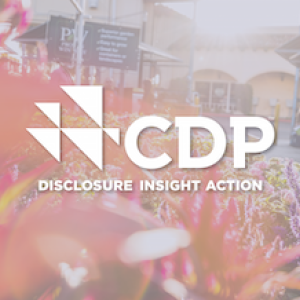 CDP: Disclosure, Insight and Action. Female in Home Depot apron is standing by a floral display.