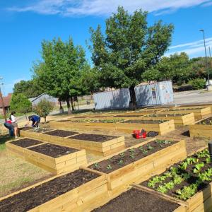 Three Home Depot volunteers work on planting vegetables in garden boxes.