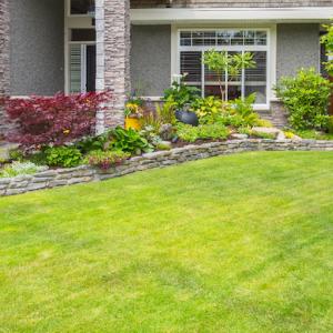 Look for WaterSense EPA; Meets EPA Criteria logo. Photo of a grassy back yard.