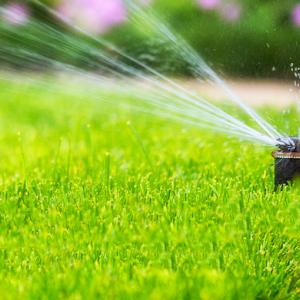 Look for WaterSense EPA; Meets EPA Criteria logo. Photo of a grassy back yard.