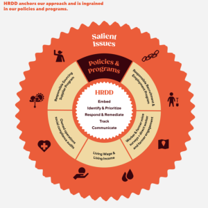 "HRDD anchors our approach and is ingrained in our policies and programs"