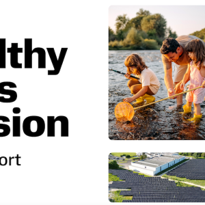 Healthy Lives Mission 2024 Report