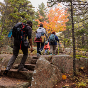 hikers climbing rock stairs