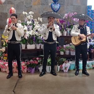 Photo of three Hispanic Heritage Month Performers in front of the florals section in an Albertsons grocery store.