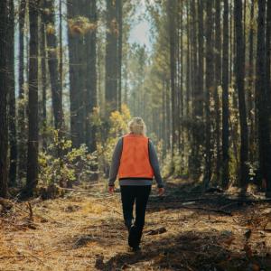 person walking in the woods