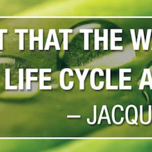 We Forget that the water cycle and the life cycle are one. Jacques Cousteau