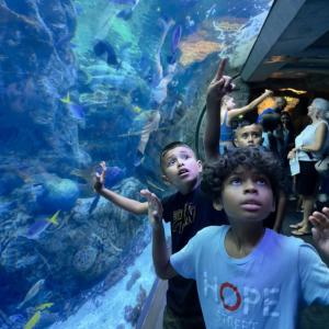 Hope Street Margolis Family Center will receive a grant to help support programs focused on K-12 education, the arts, and health and wellness.