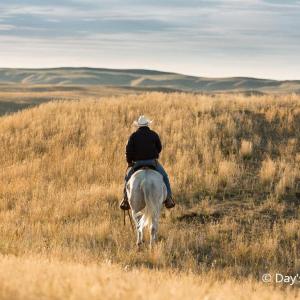 person on a horse in the middle of the praries