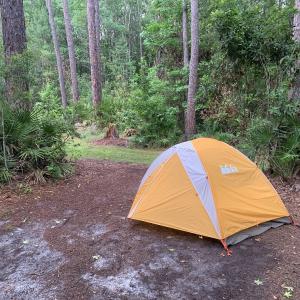 tent pitched in swamp
