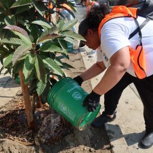 Volunteers helped nurture recently planted trees.